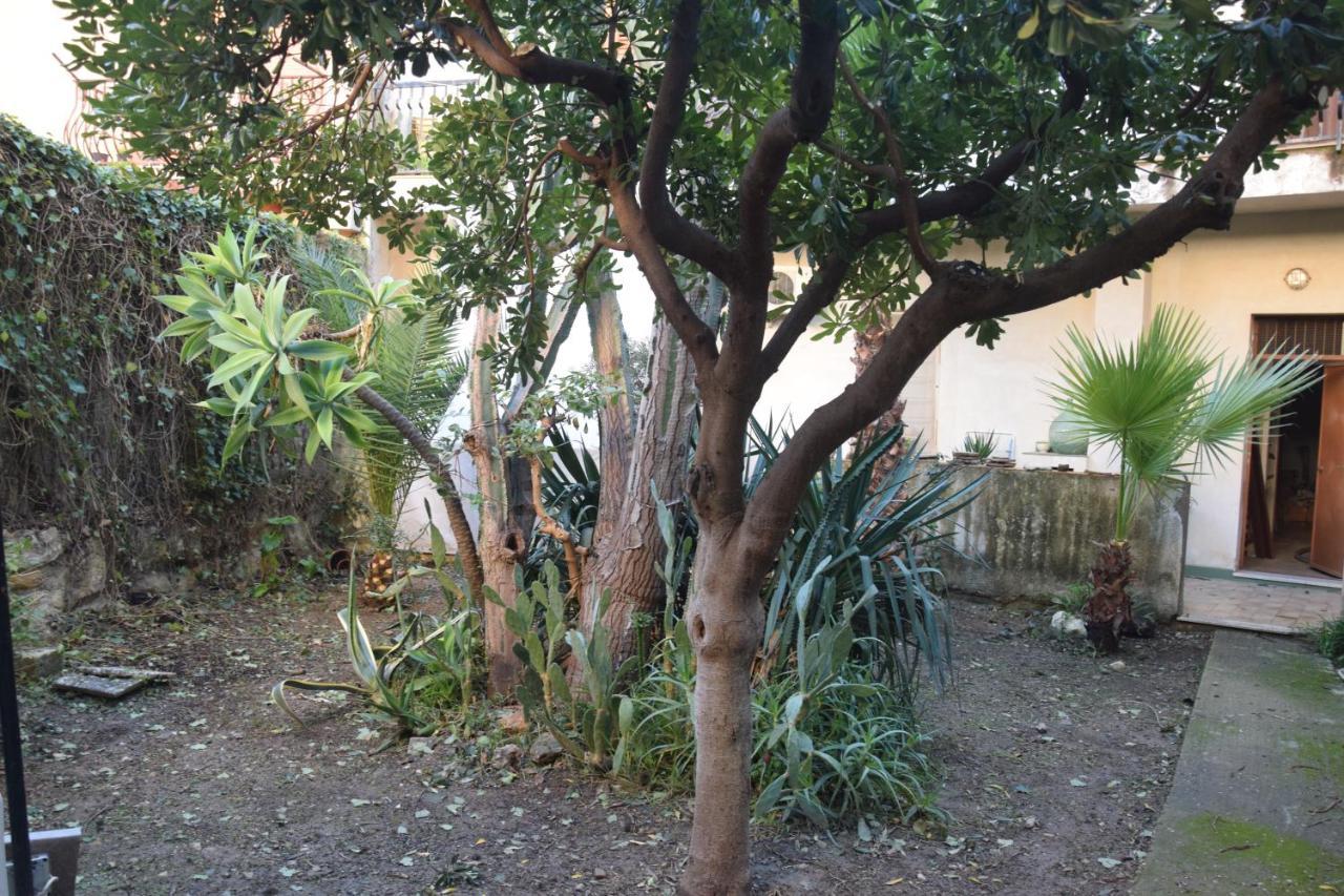 Artroom Garden Noto Eksteriør bilde