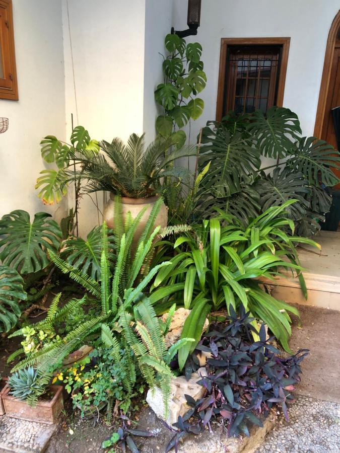 Artroom Garden Noto Eksteriør bilde
