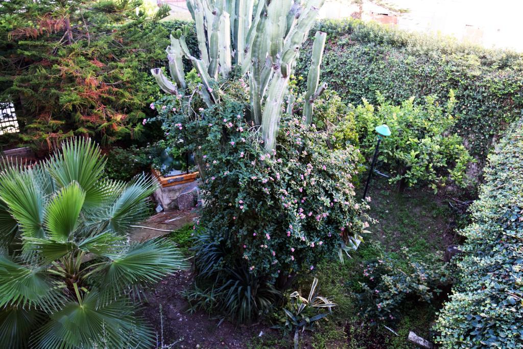 Artroom Garden Noto Eksteriør bilde
